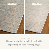 Aspendo Neutral Rug