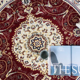 Classic Traditional Medallion Rug