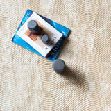 Sonata Minimalist Bordered Line Modern Rug