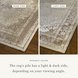 Calais Rustic Traditional Rug