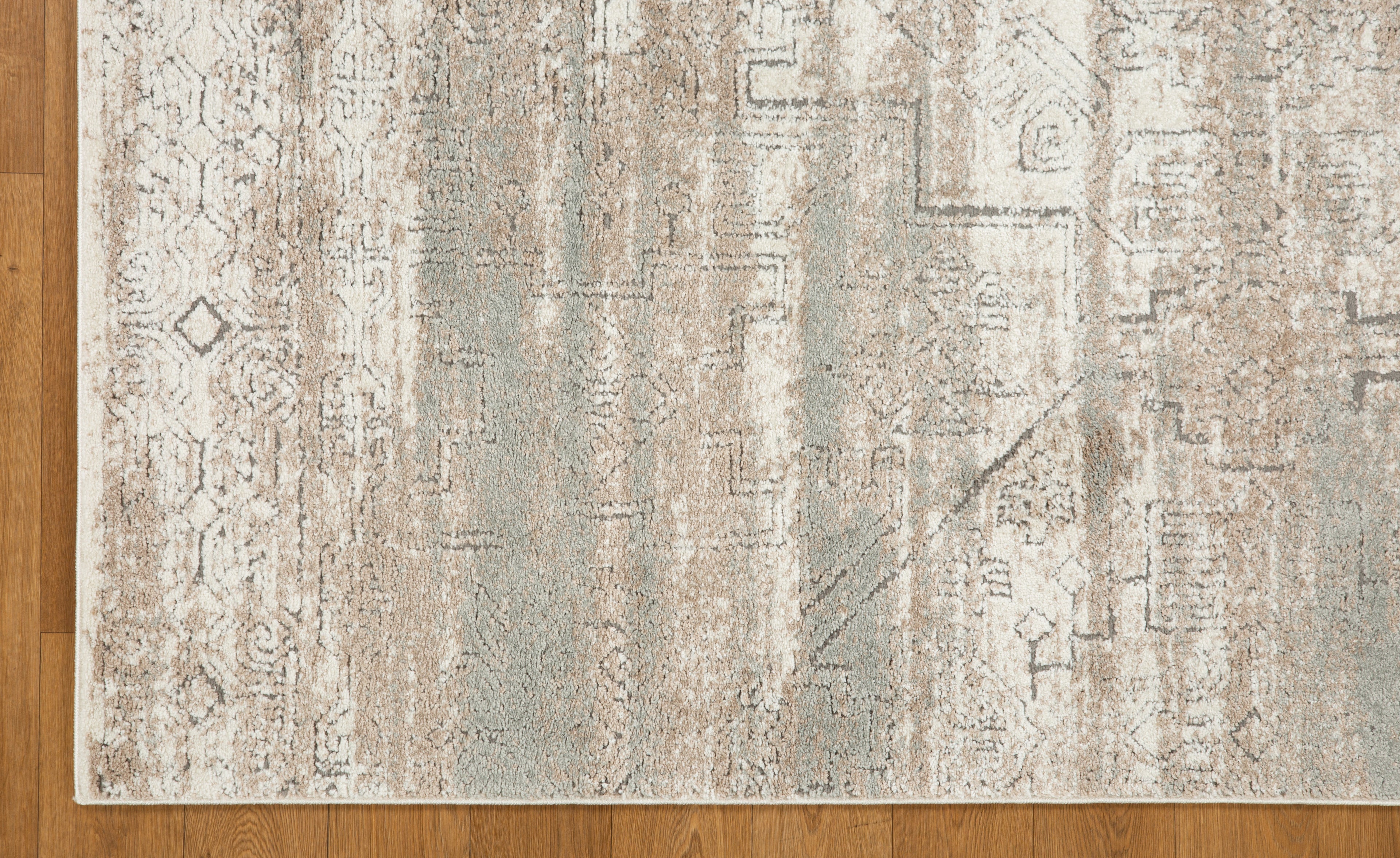 Emery Subtle Medallion Abstract Rug