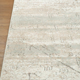 Emery Subtle Medallion Abstract Rug