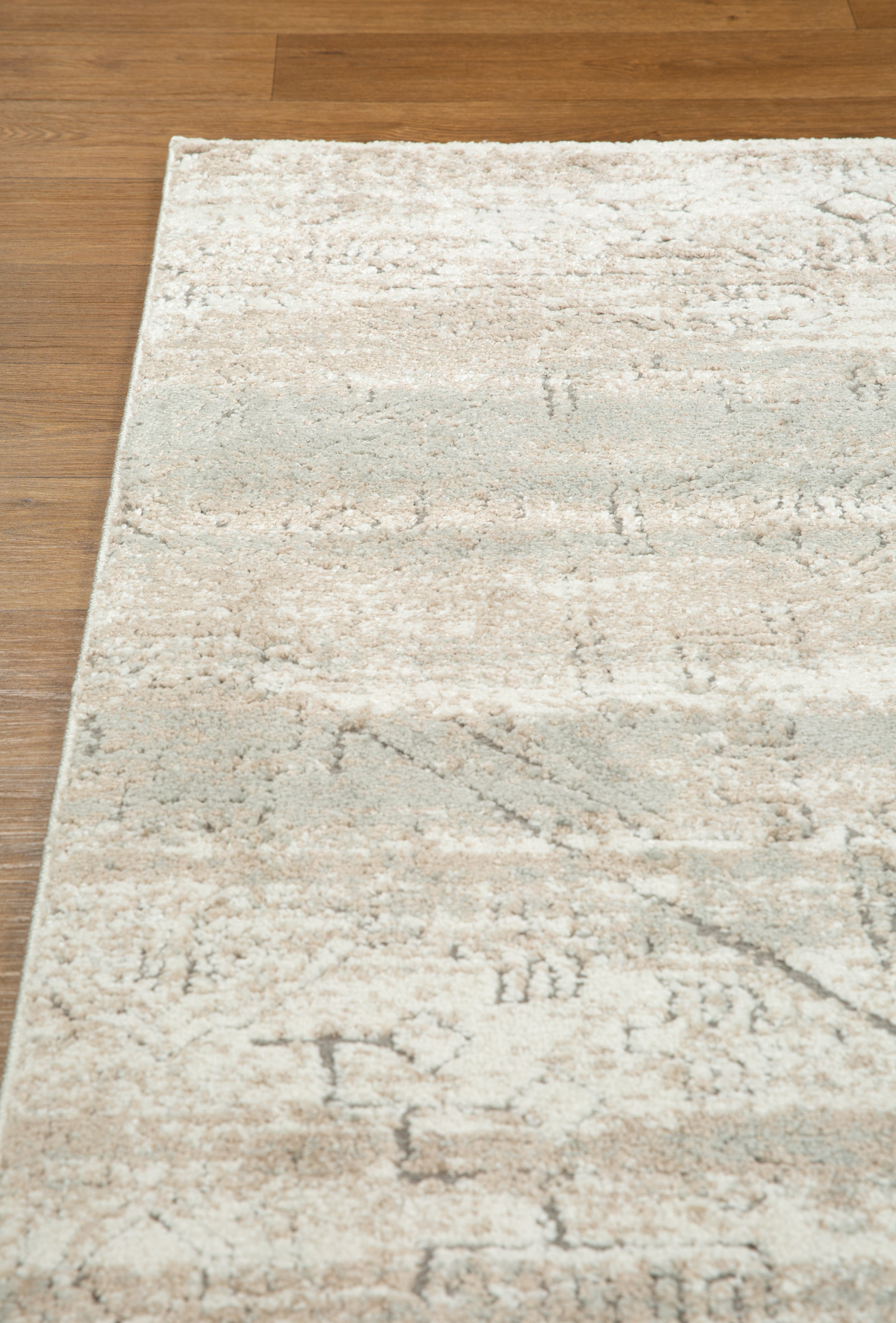 Emery Subtle Medallion Abstract Rug
