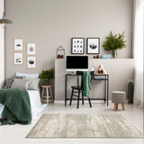 Emery Subtle Medallion Abstract Rug