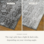 Charcoal grey distressed rug with intricate ivory floral medallion pattern and borders