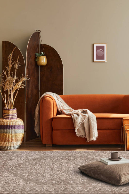 Aspendo Floral Traditional Rug