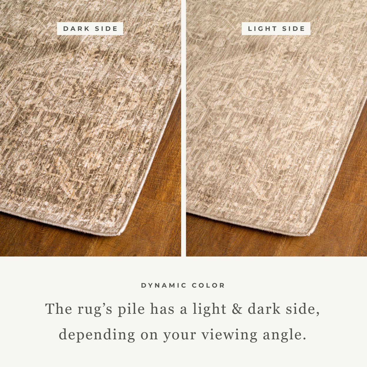 Aspendo Floral Traditional Rug