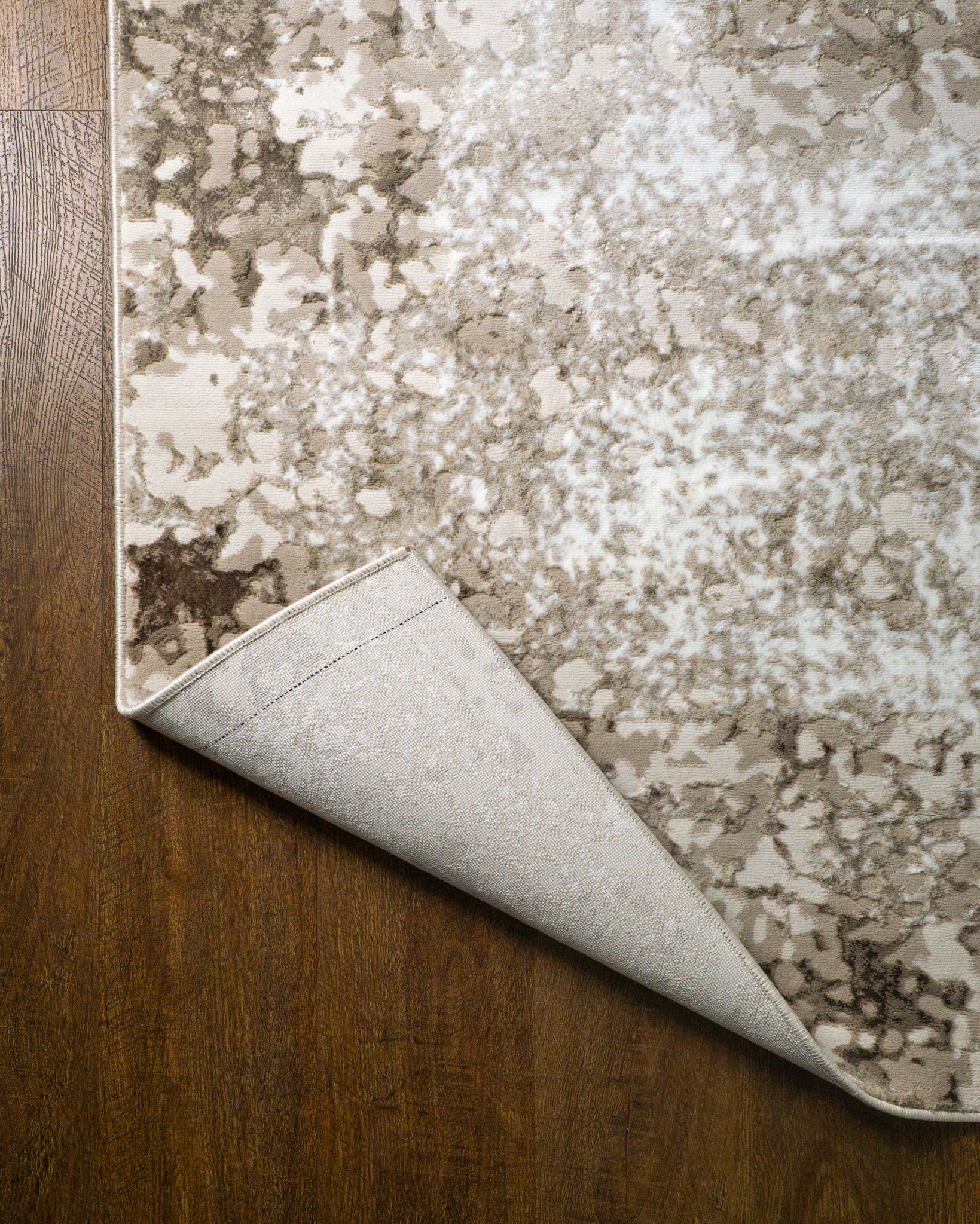 Lucien Modern Distressed Rug