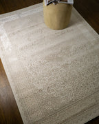 Lucien Traditional Bordered Rug
