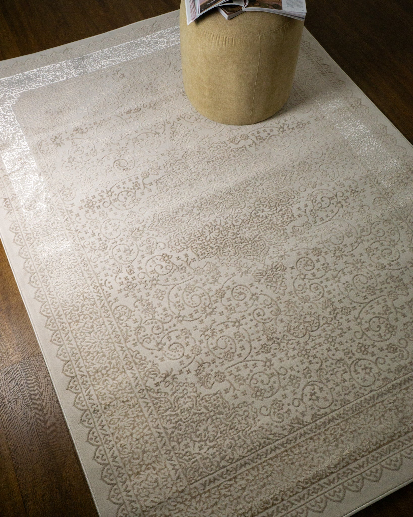 Lucien Traditional Bordered Rug
