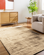 Neutral beige textured rug with distressed abstract pattern and vintage worn finish