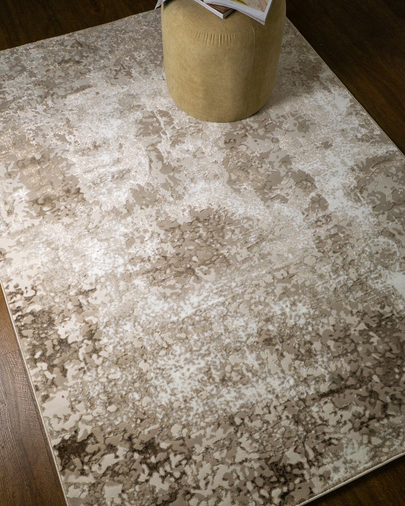 Lucien Modern Distressed Rug