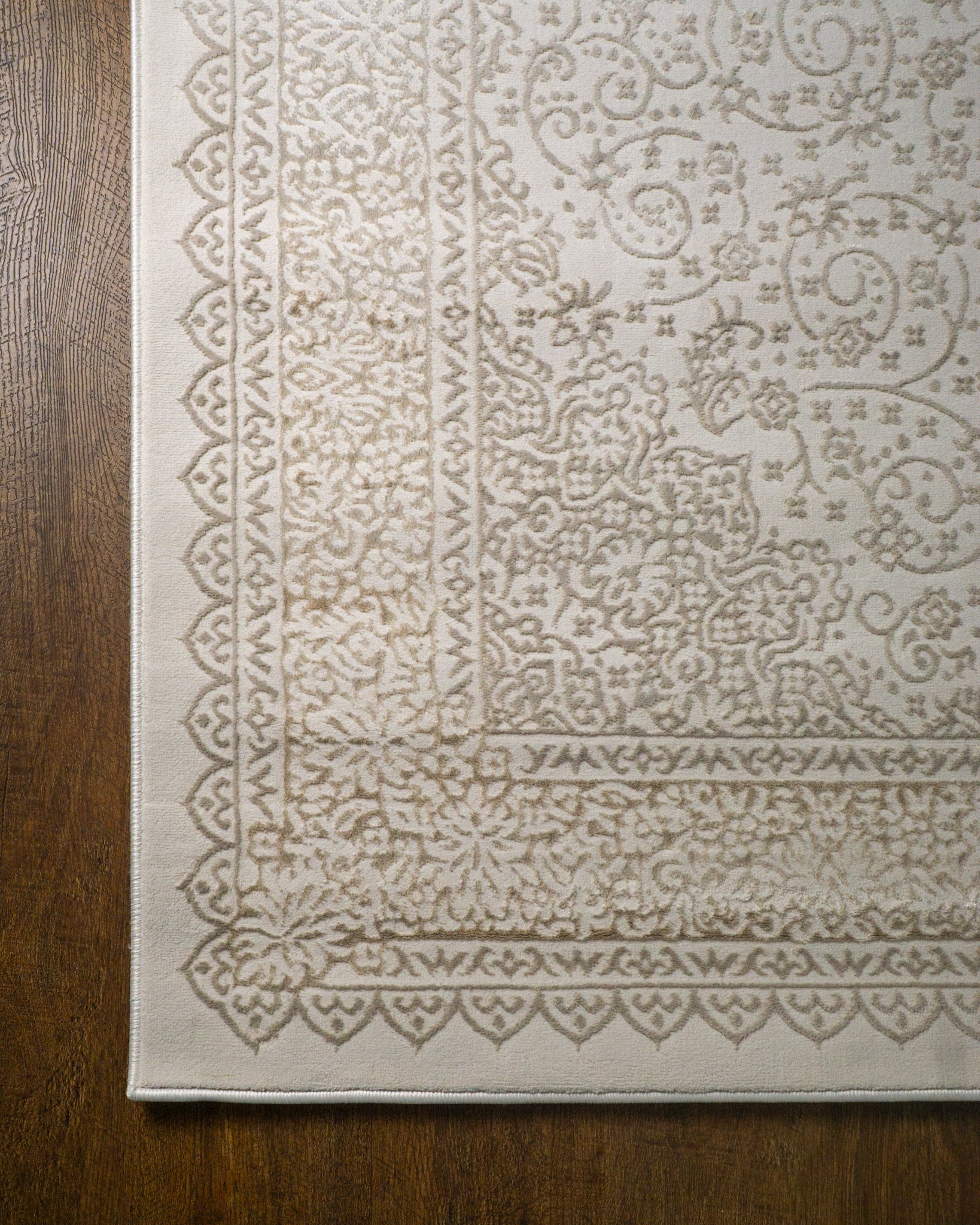Lucien Traditional Bordered Rug