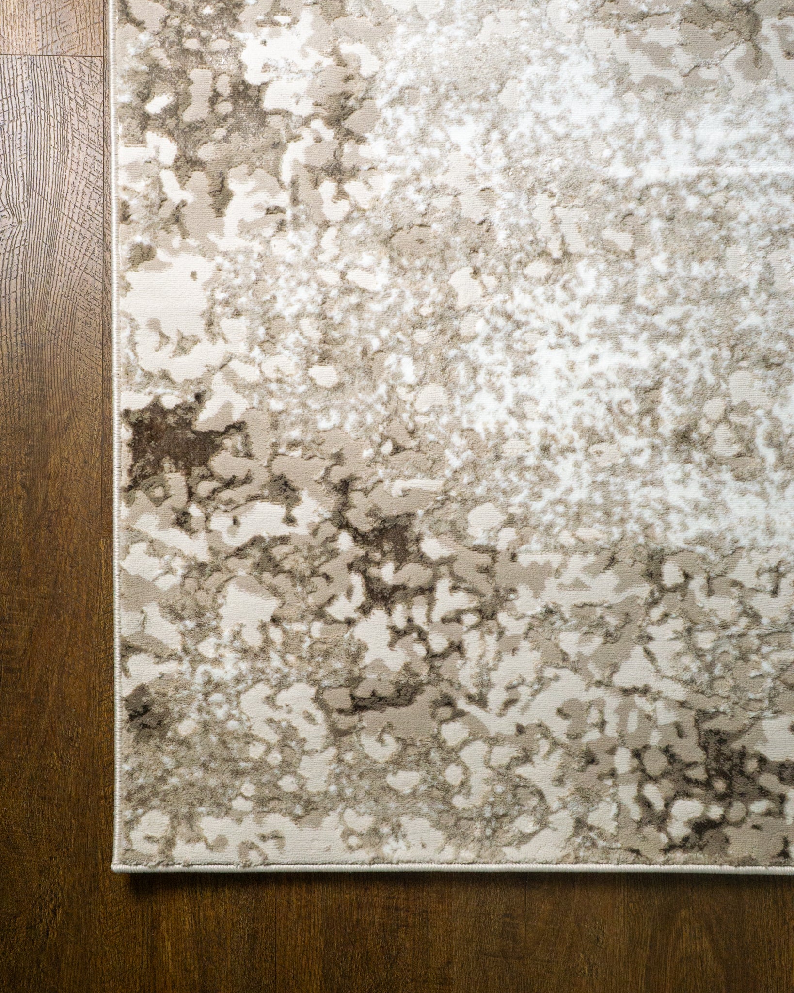 Lucien Modern Distressed Rug