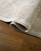 Lucien Traditional Bordered Rug