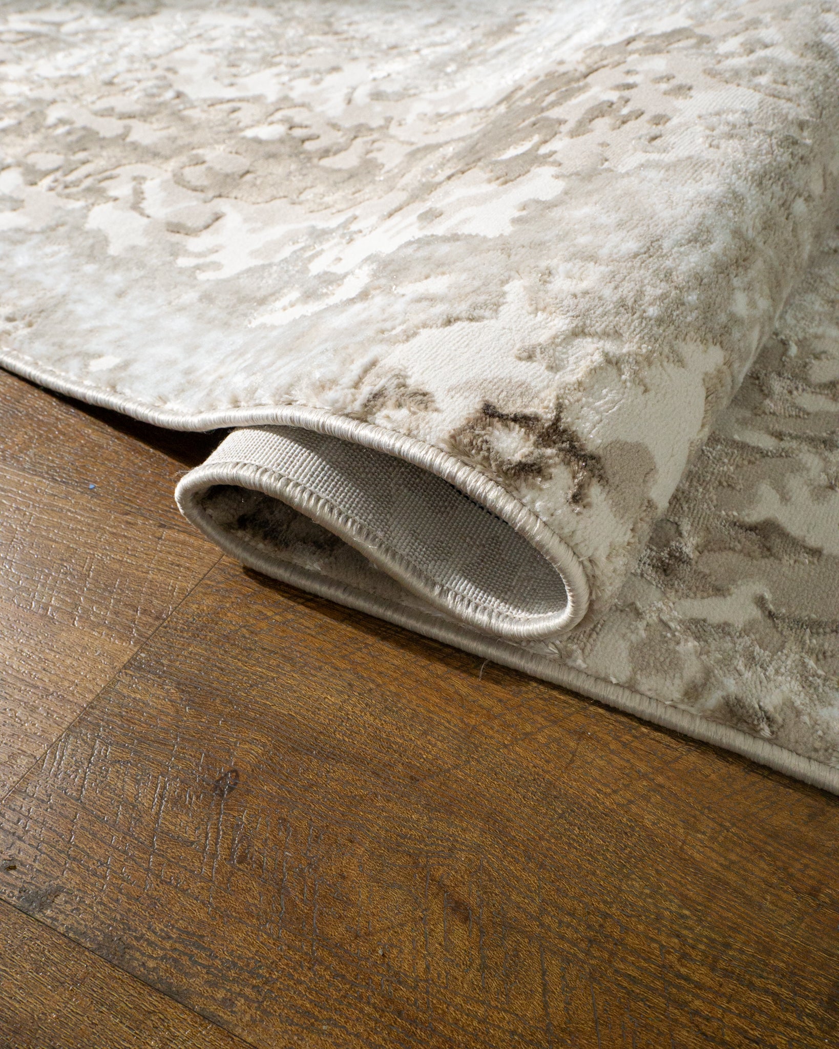 Lucien Modern Distressed Rug