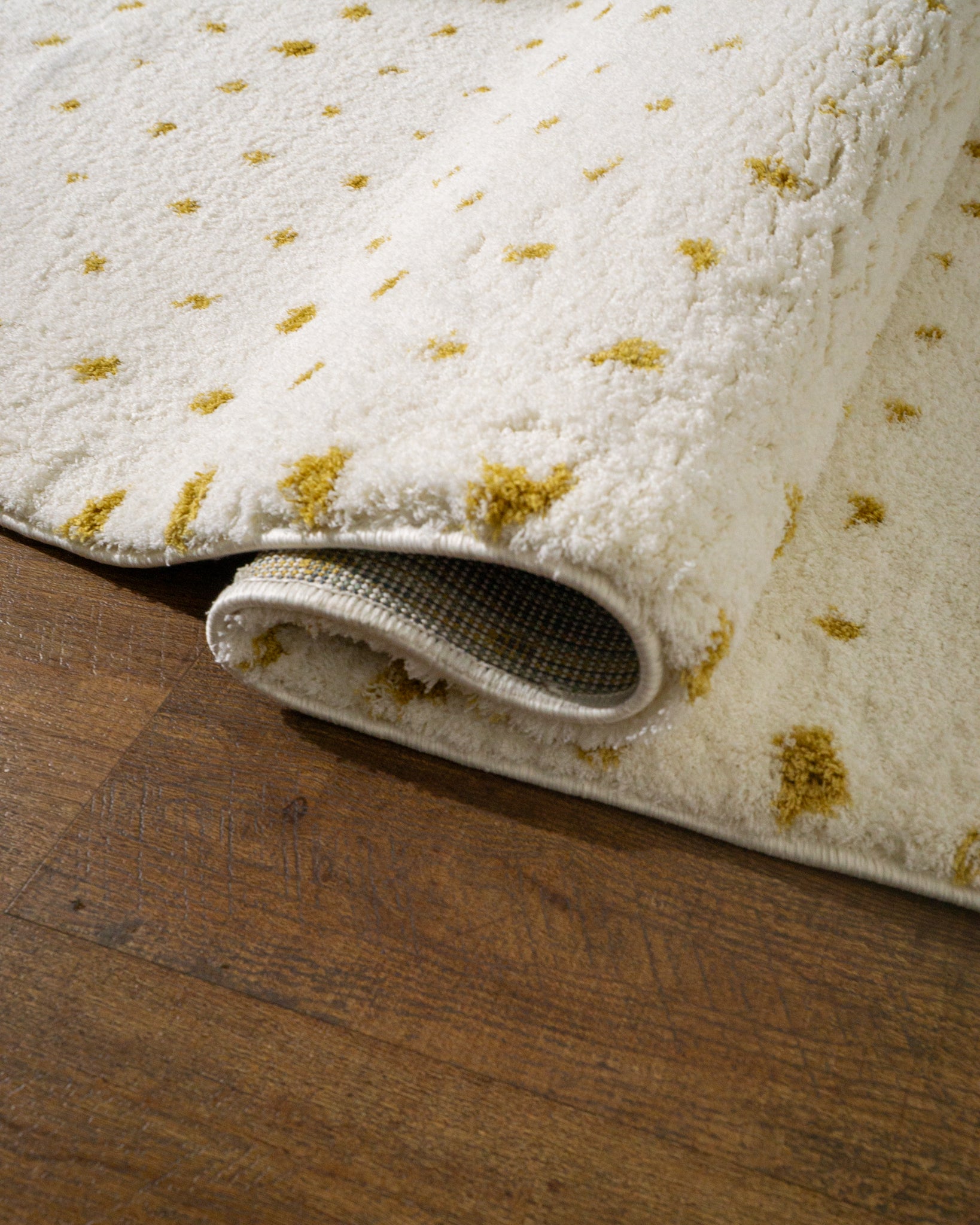 Granville Dotted Modern Rug