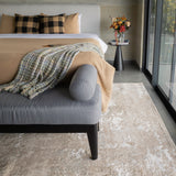 Liora Faded Abstract Rug