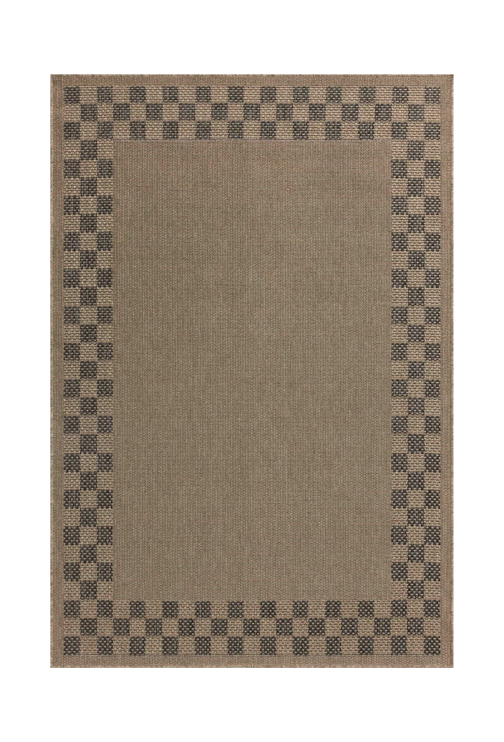 Meridian Checkered Indoor Outdoor Area Rug