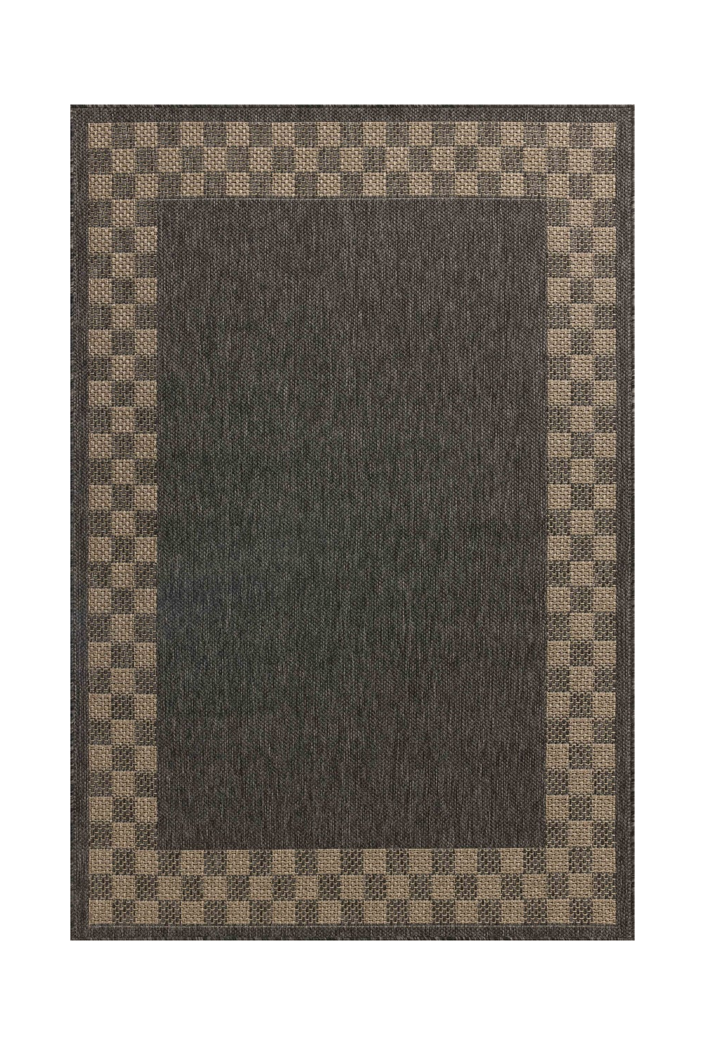 Meridian Checkered Indoor Outdoor Area Rug