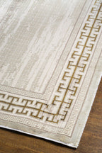 Liora Modern Bordered Rug