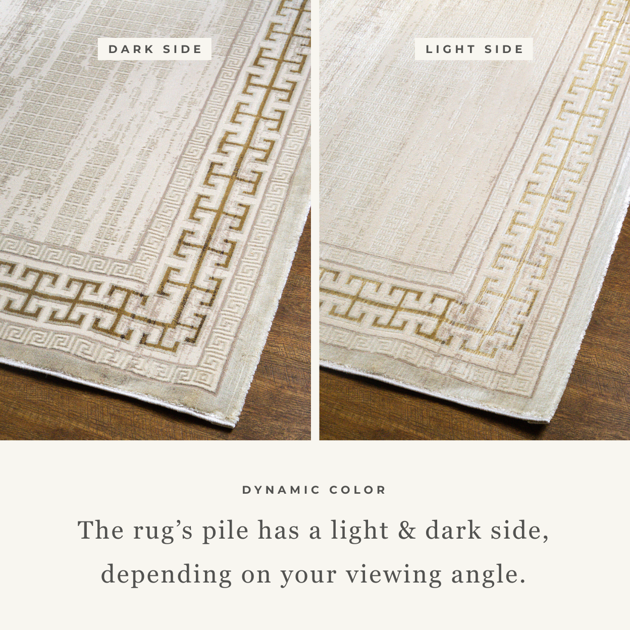 Liora Modern Bordered Rug