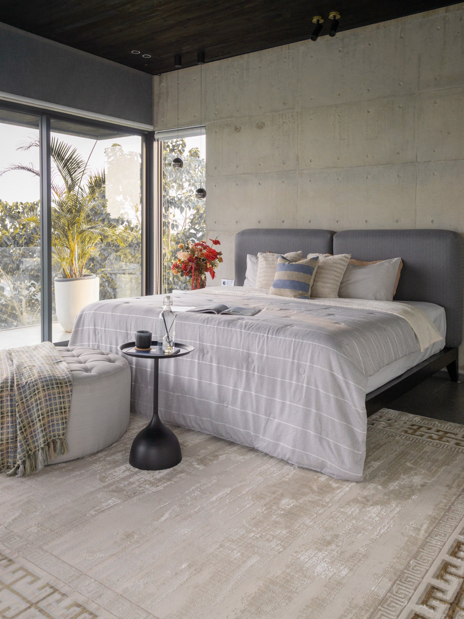 Liora Modern Bordered Rug