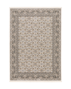 Beige and grey traditional rug with ornate floral medallion pattern throughout
