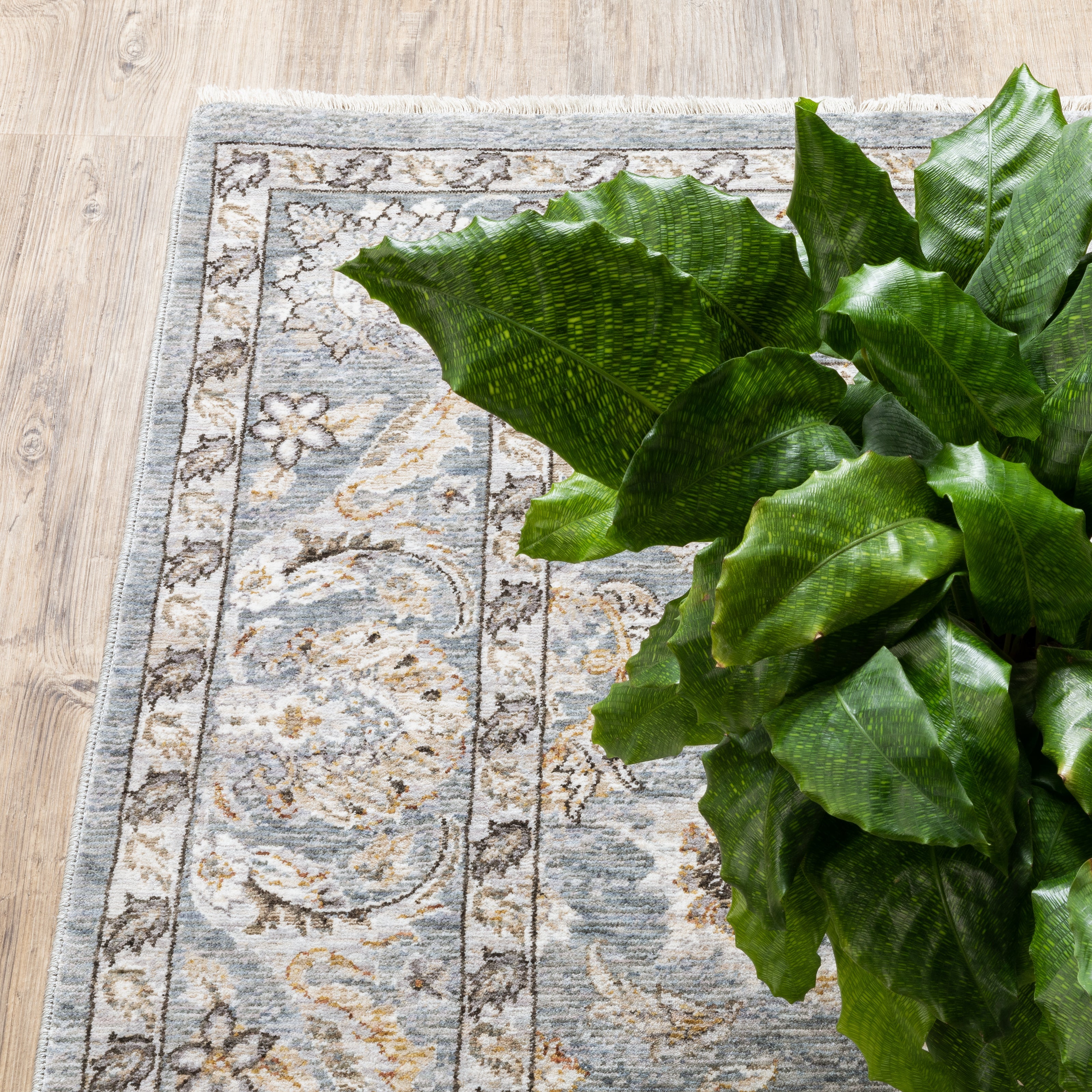 Maharaja Bordered Traditional Rug