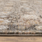 Vintage-style area rug with intricate geometric patterns in beige, taupe and cream tones