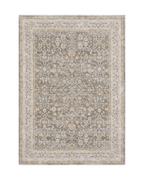 Beige and grey traditional rug with ornate floral medallion pattern throughout