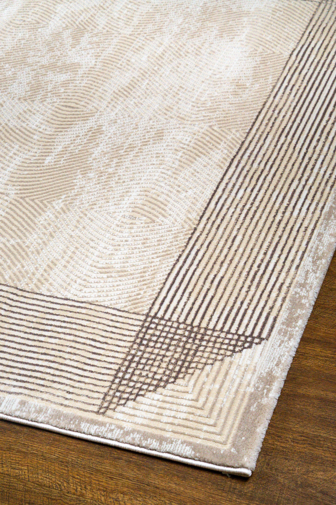 Sonata Minimalist Bordered Line Modern Rug