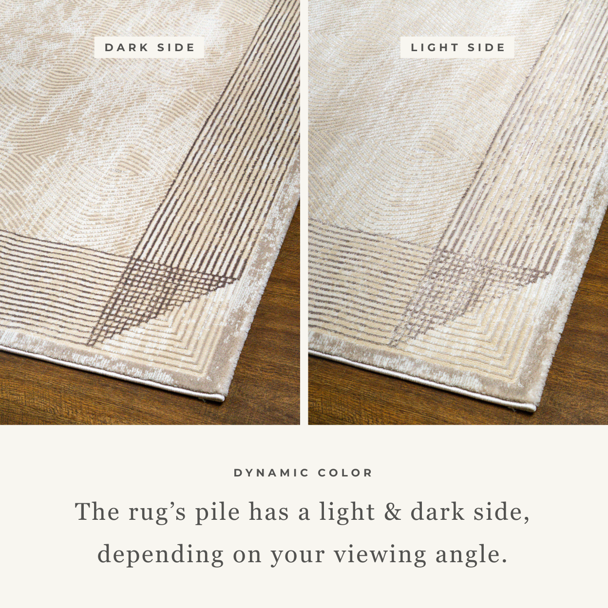 Sonata Minimalist Bordered Line Modern Rug