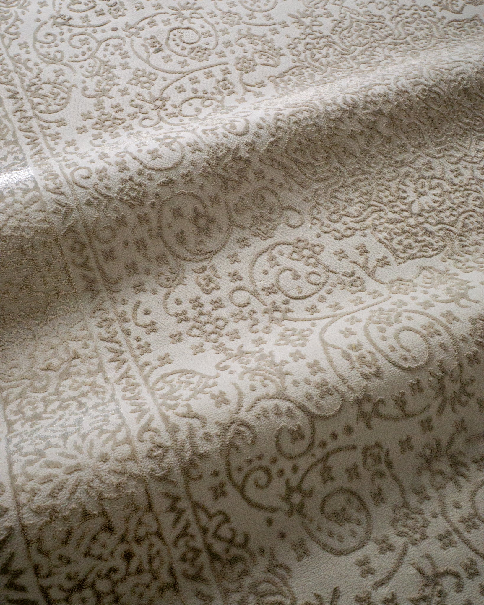 Lucien Traditional Bordered Rug