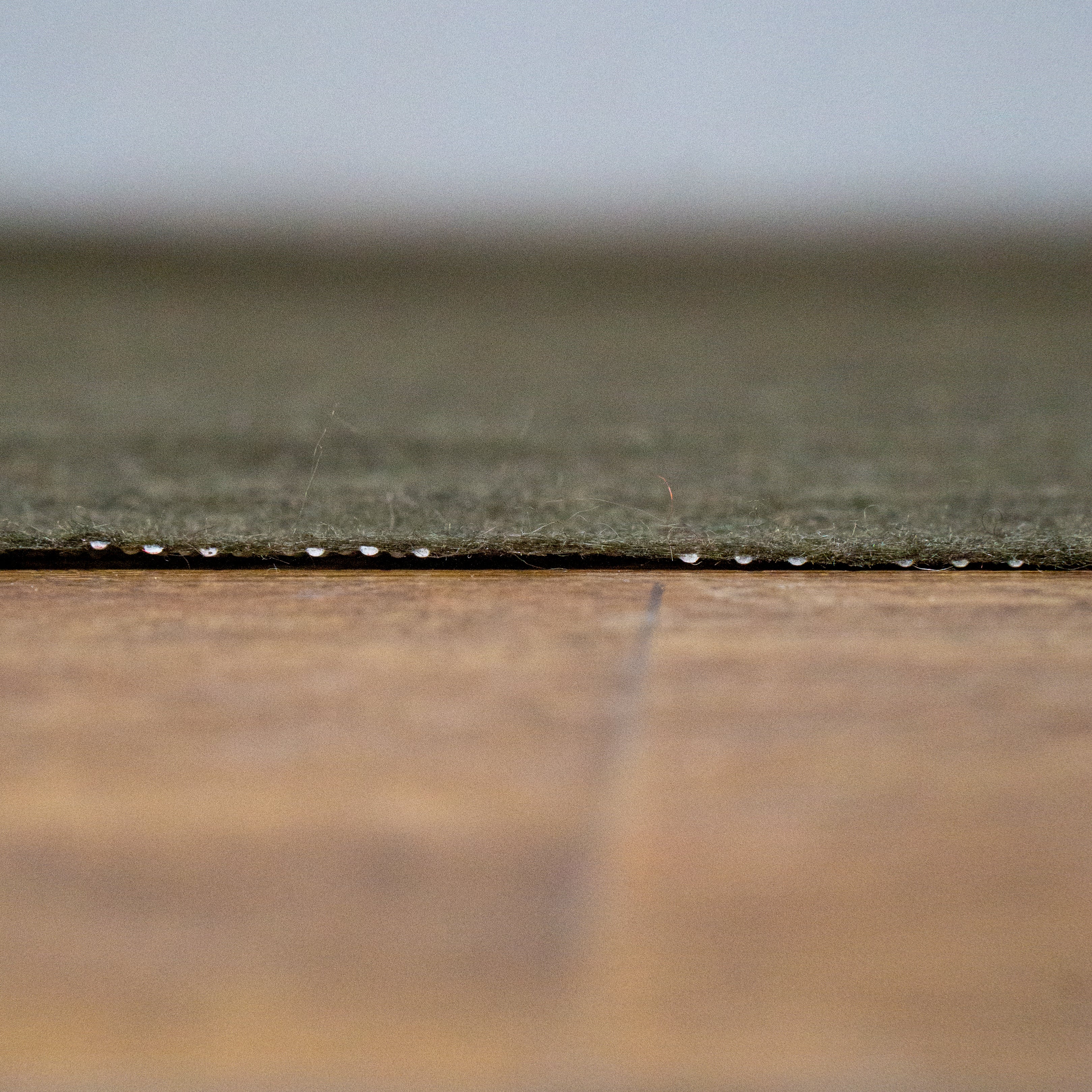 Essential Rug Pad